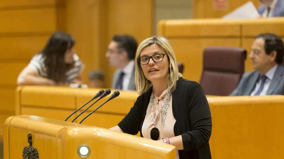 La senadora del PSOE por Huesca Begoña Nasarre, en la defensa de la iniciativa.