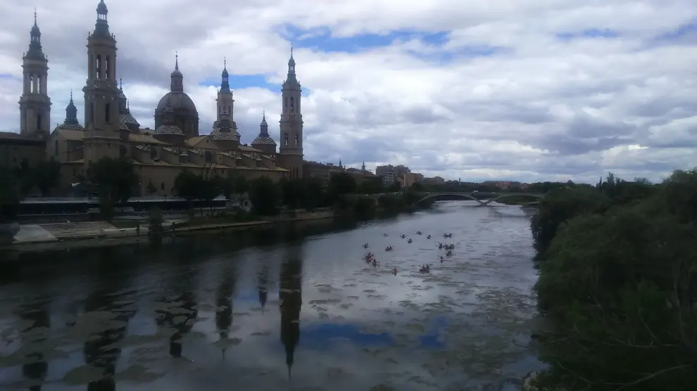Las algas se adelantan y toman el Ebro a su paso por el Pilar