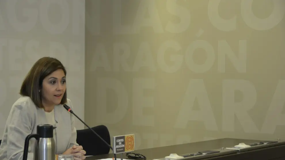 La portavoz de Ciudadanos en las Cortes de Aragón, Susana Gaspar