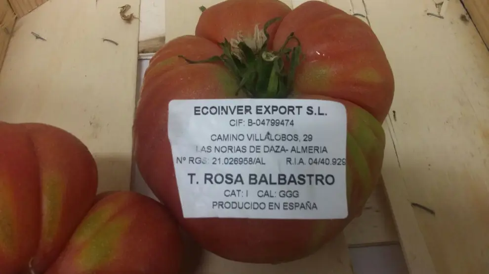 El 'tomate rosa de Balbastro' detectado en Zaragoza.