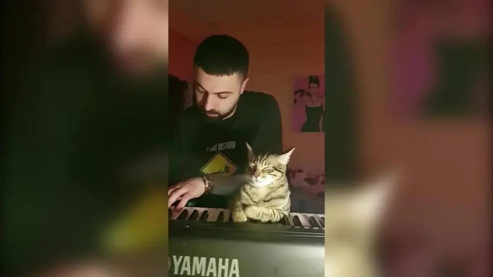 La música relaja demasiado a este gato