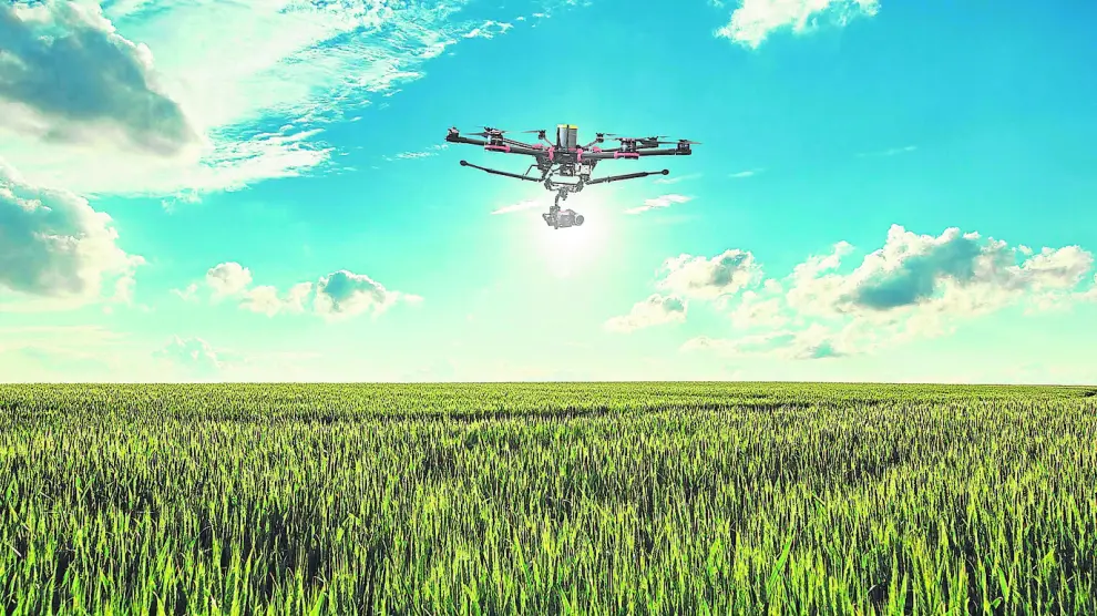 Un dron de la empresa sobrevuela un campo de cereal en las Cinco Villas.