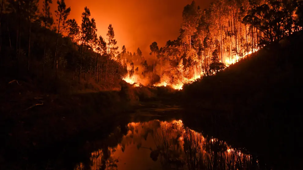 Un incendio forestal causa decenas de muertos en Portugal