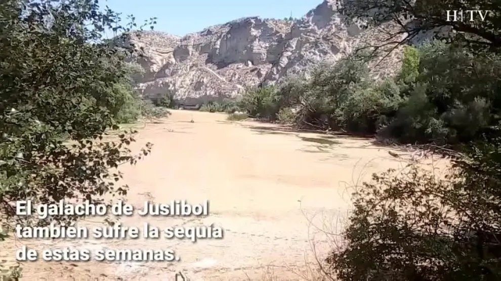 La falta de lluvias anticipa la sequía del galacho de Juslibol