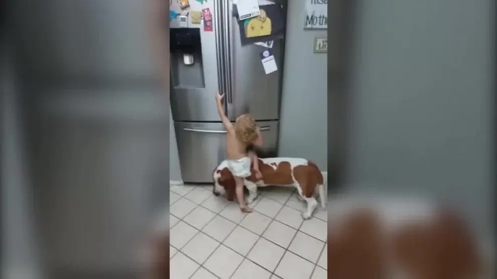 Misión imposible: un perro, un bebé y un frigorífico