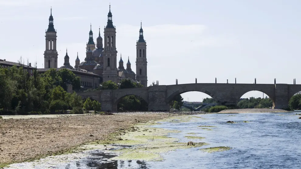 El Ebro también se resiente por la ola de calor a su paso por Zaragoza