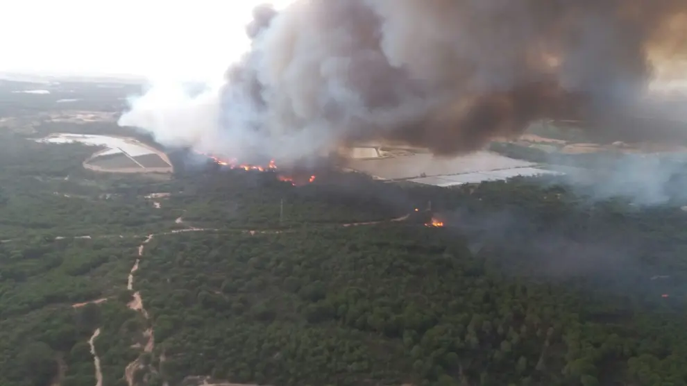 Incendio en el entorno de Doñana.