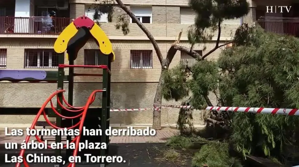 Los tormentas derriban un árbol en la plaza Las Chinas, en Torrero