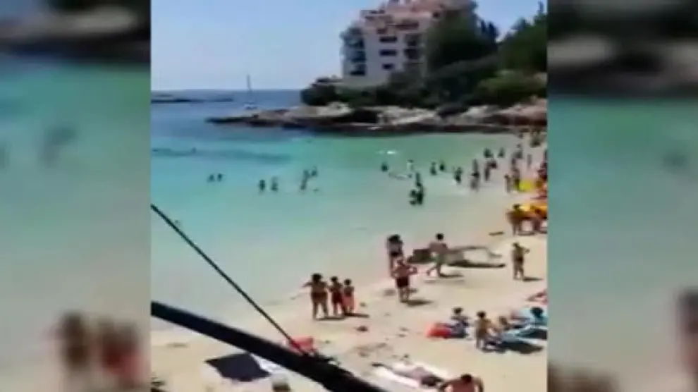 Un tiburón azul se une a los bañistas de las playas de Mallorca