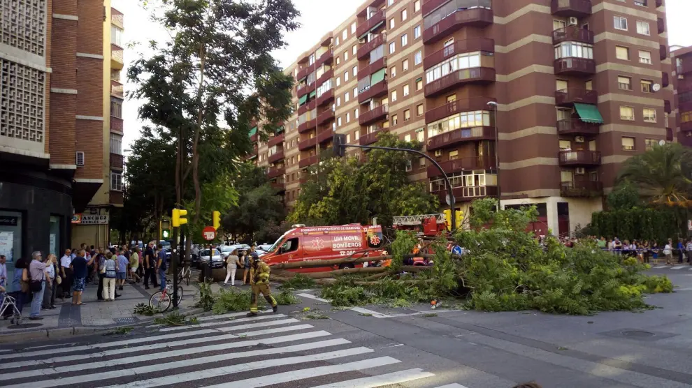 Incidencias por el fuerte viento en Zaragoza