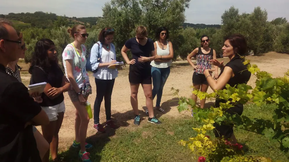 Los estudiantes durante su visita a bodega Blecua de Viñas del Vero.