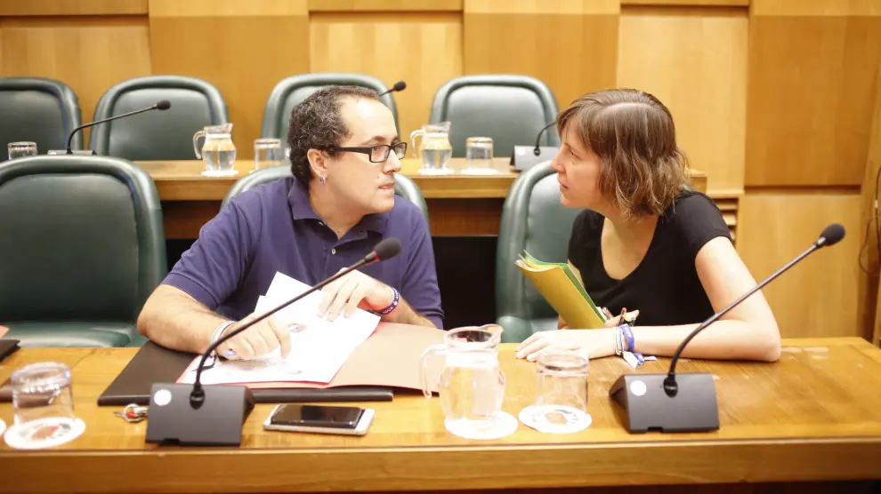 El concejal de Servicios Públicos, Alberto Cubero, y la responsable de Medio Ambiente, Teresa Artigas, este viernes en el pleno municipal.