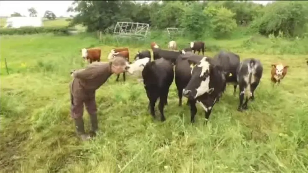 Un granjero convertido en vegetariano dona 62 cabezas de ganado