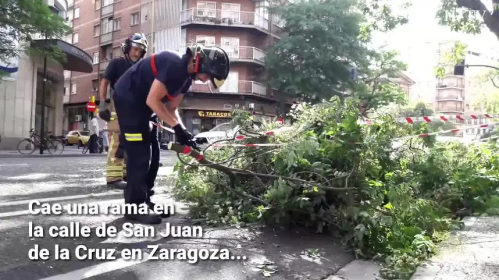 Cae una nueva rama en la Calle de San Juan de la Cruz