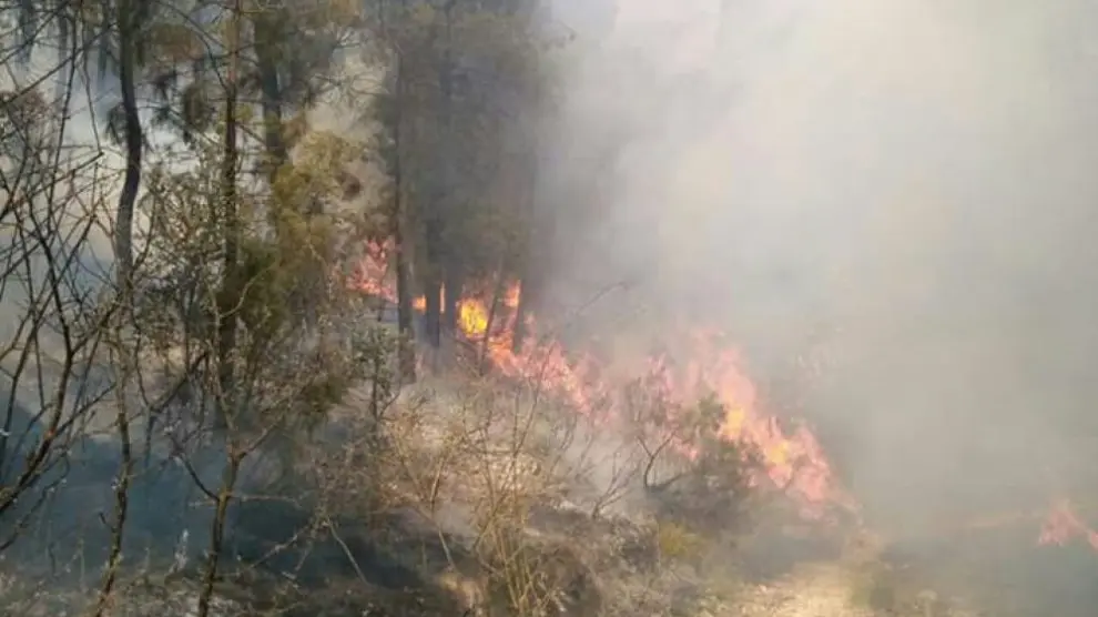 El incendio de Yeste ha quemado 100 hectáreas.