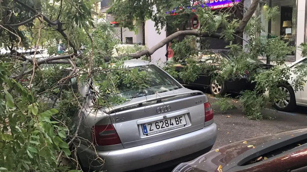 Este lunes cayó una rama de grandes dimensiones en la calle Zurita causando daños en un coche.