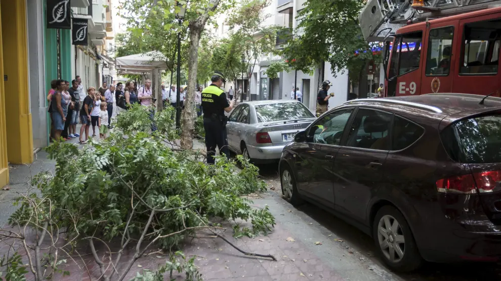 El pasado lunes una rama de grandes dimensiones cayó sobre un coche en la calle Zurita.