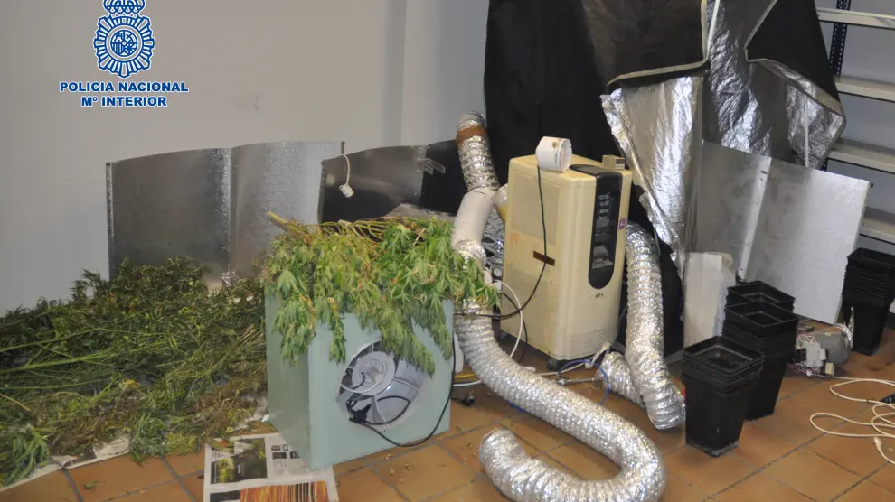 Se han intervenido cinco plantas de marihuana, varias macetas con posibles semillas en su interior, un armario de cremallera con el interior de aluminio y unas plantas caloríficas.