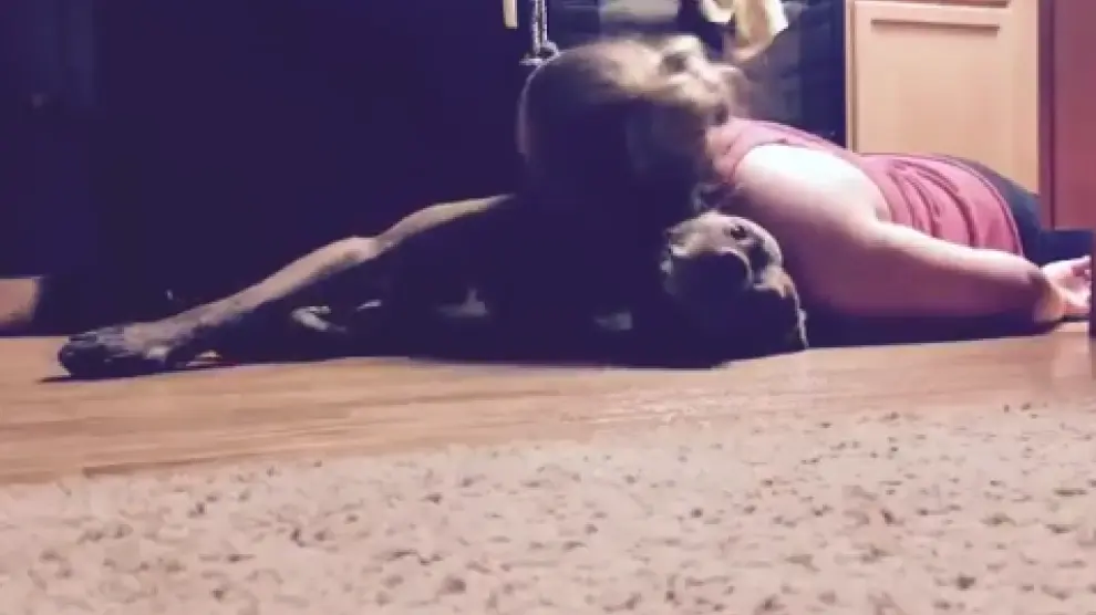 Una joven entrena a su perro para que le sujete la cabeza cuando le den ataques epilépticos