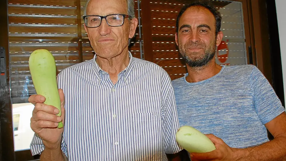Los agricultores Francisco Lamata y Rubén Pérez, con el calabacín de guías autóctono de Mallén (Zaragoza).