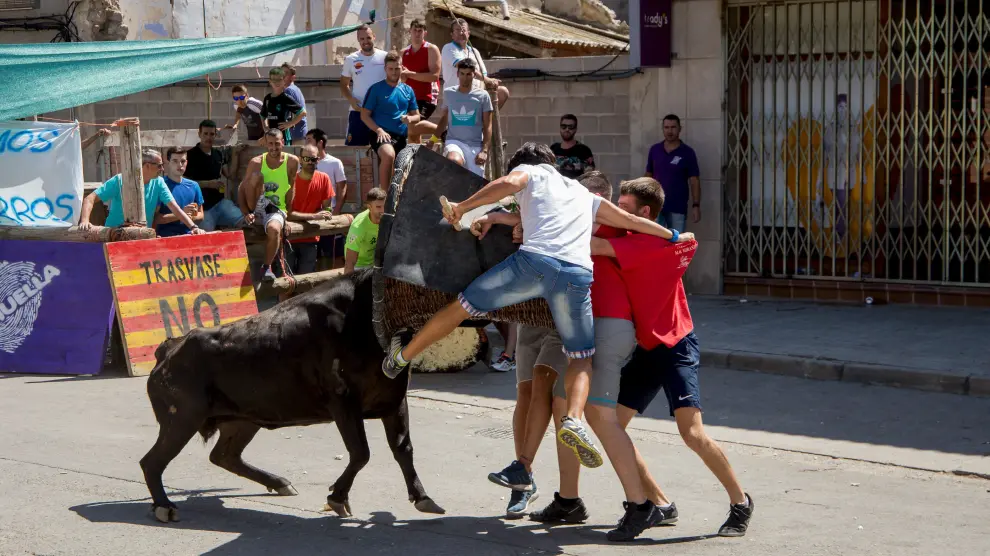 La vaca de la ganadería Hermanos Marcén Romero levantó por los aires a uno de los mozos.