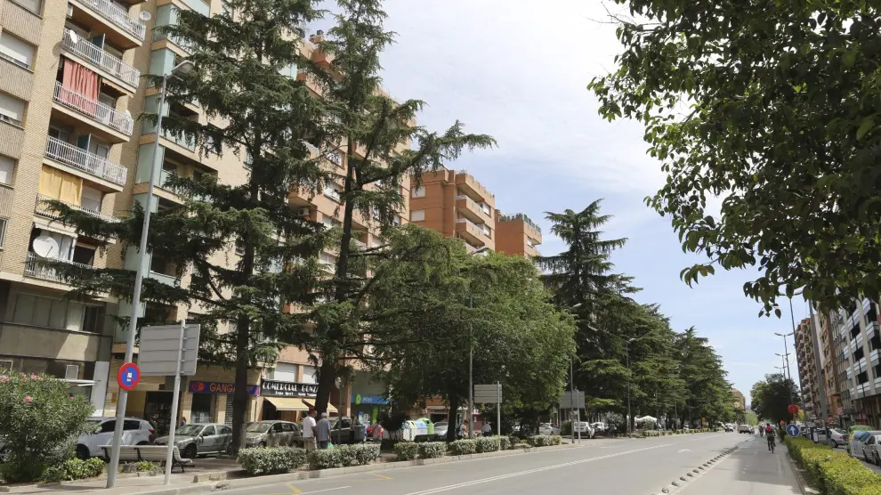 El paseo Ramón y Cajal de Huesca