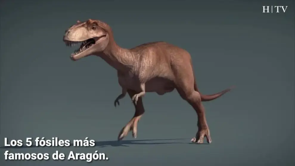 Los 5 fósiles más famosos de Aragón