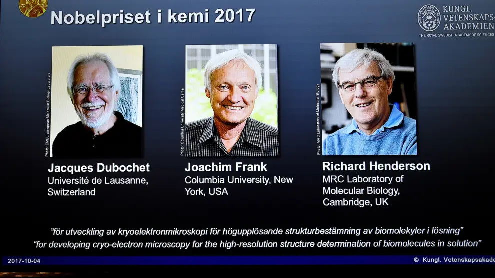 El premio se ha anunciado este miércoles en la Real Academia Sueca de las Ciencias.