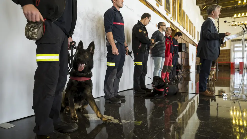 Nueva unidad canina de Bomberos de Zaragoza
