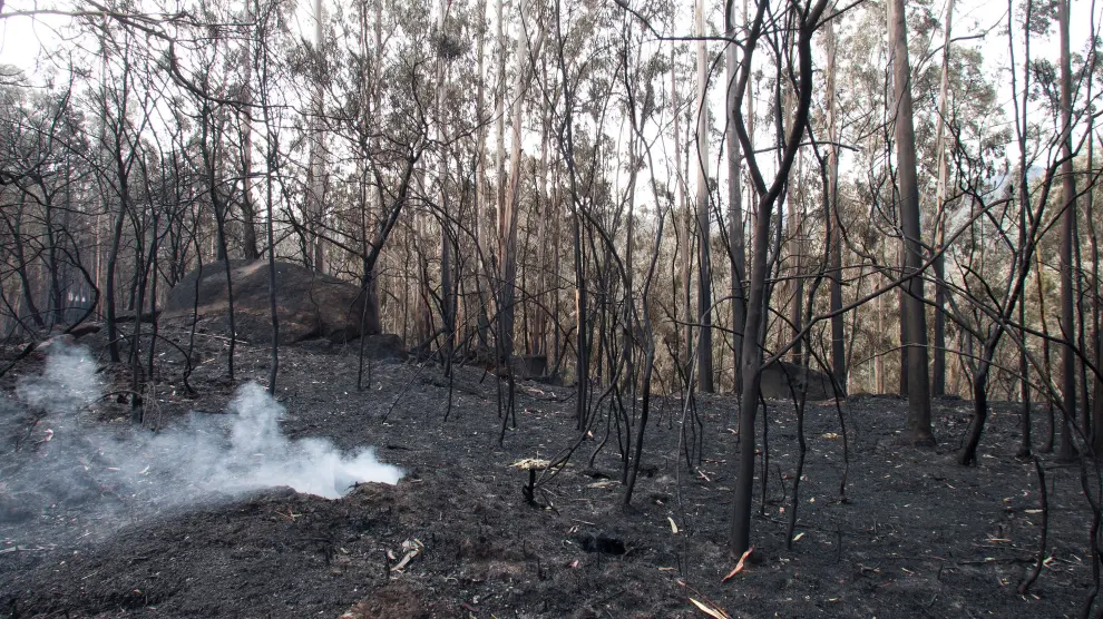 35.500 hectáreas se han quemado en Galicia.