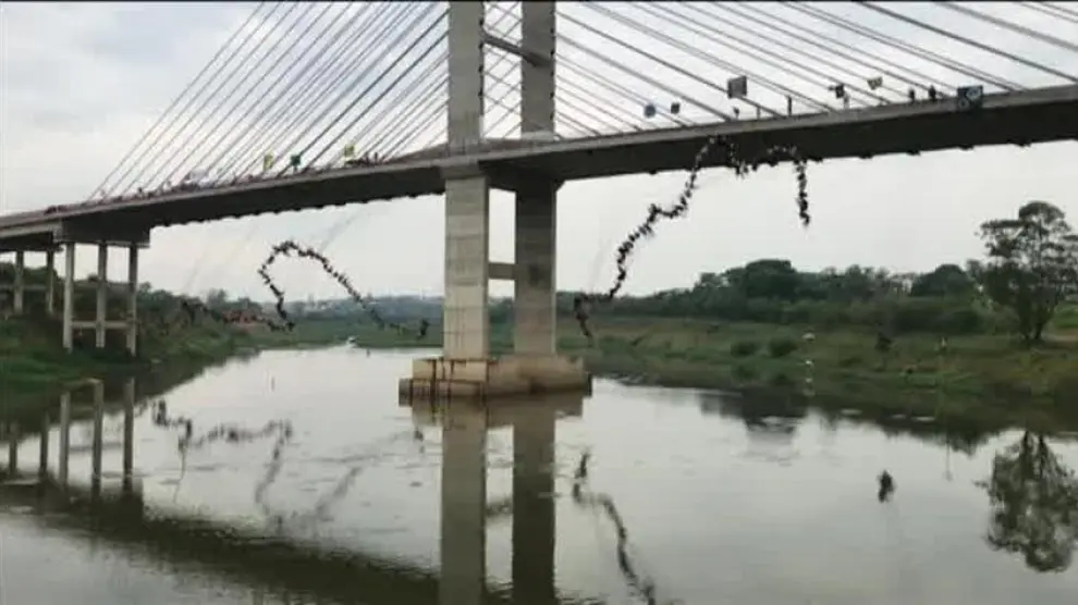 245 personas saltan a la vez de un puente