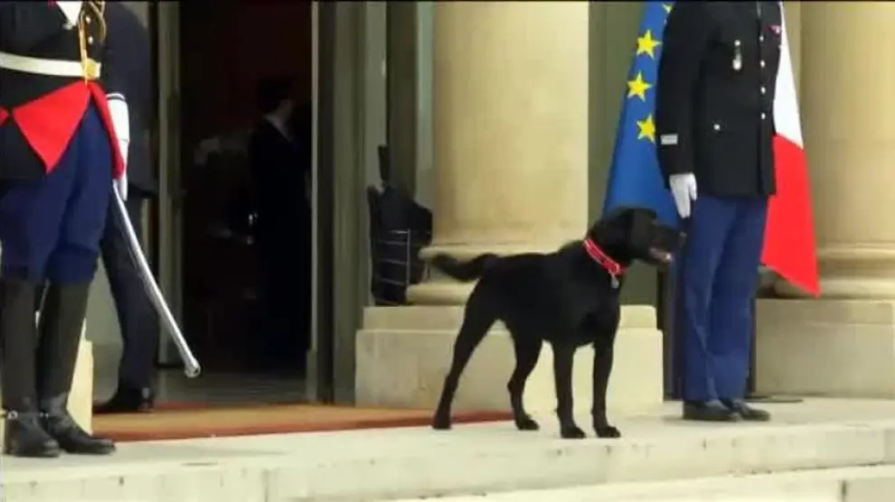 El perro de Macron se orina en plena reunión