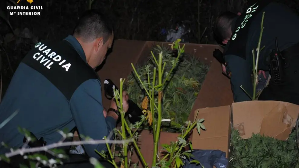 Los agentes de la Guardia Civil, durante la apertura de las cajas que contenían marihuana.