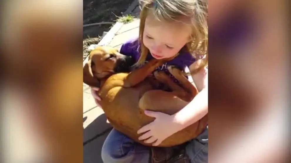 Canto de una niña a su perro adoptado