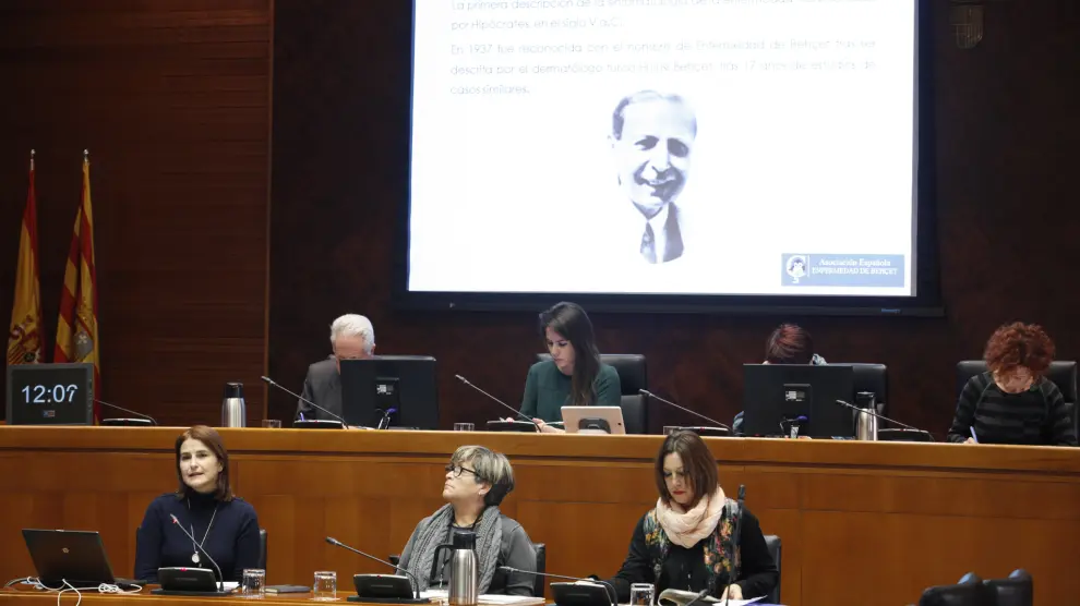 La Asociación Enfemedad de Behçet ha comparecido en la Comisión de Comparecencias Ciudadanas.
