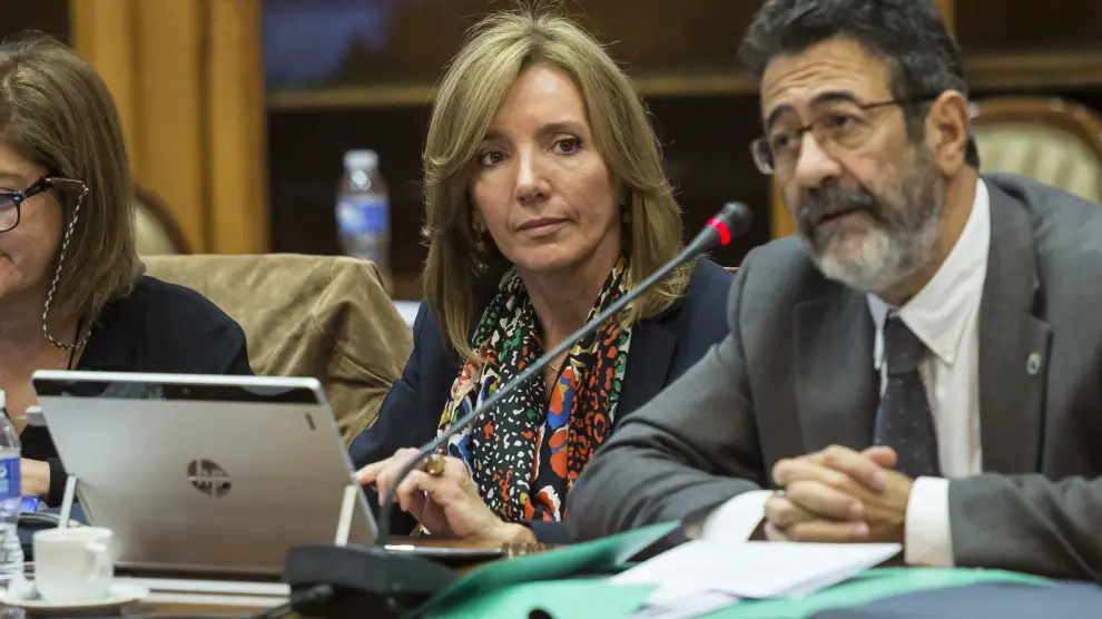 La vicerrectora de Economía, Margarita Labrador, presenta los presupuestos de la Universidad de Zaragoza en el Consejo de Gobierno.