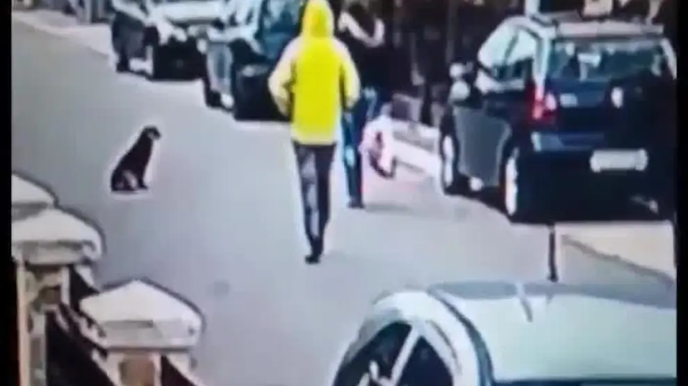 Un perro salva a una mujer de ser atacada por un ladrón