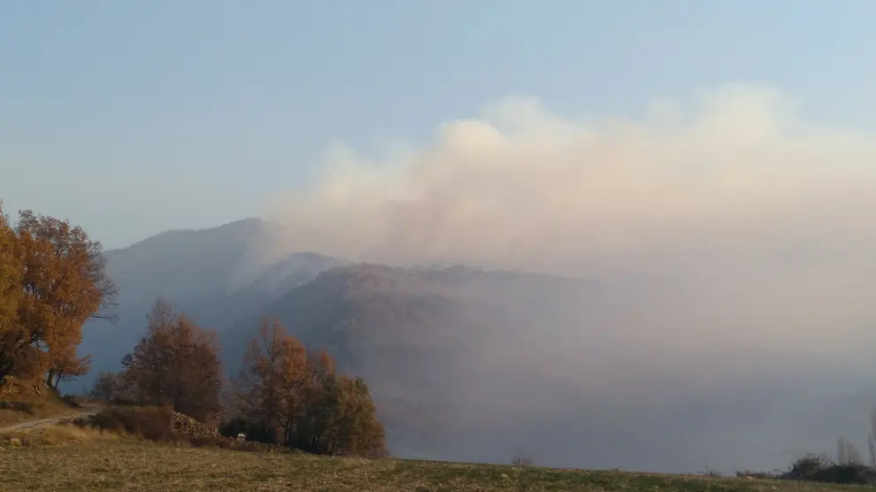 Incendio forestal en Torre la Ribera