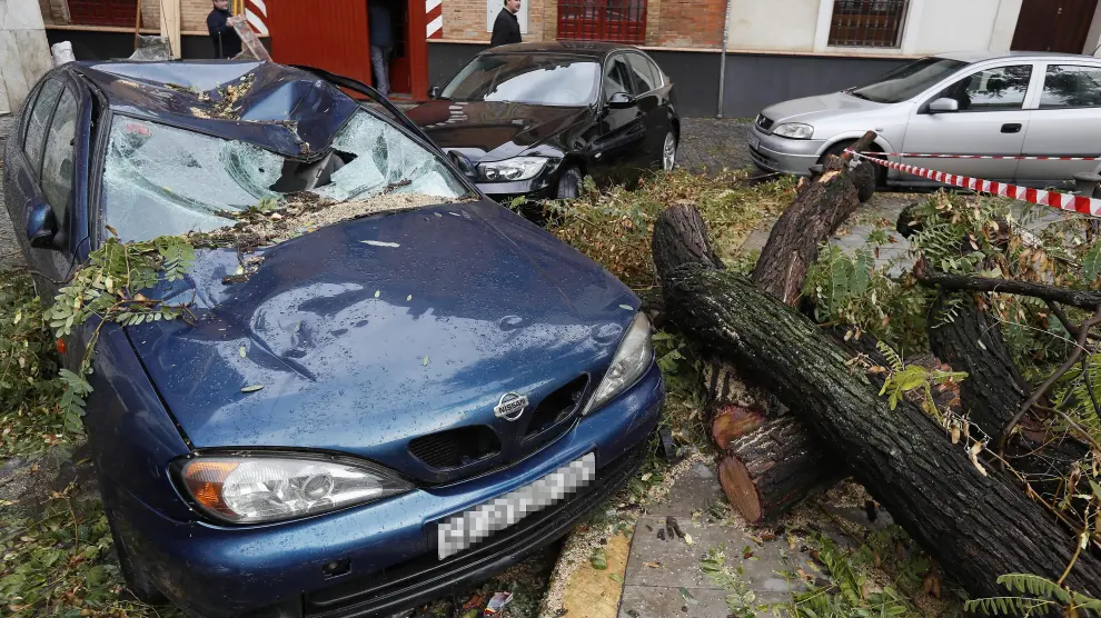 Un árbol caído sobre un coche en Sevilla durante el temporal.
