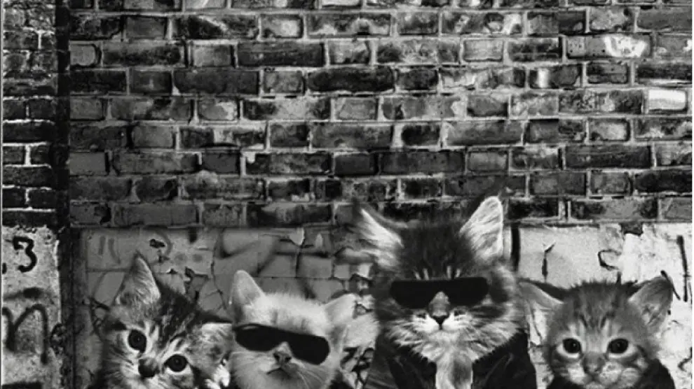 Los Ramones tienen su propio estilo en la web de Kitten Covers.