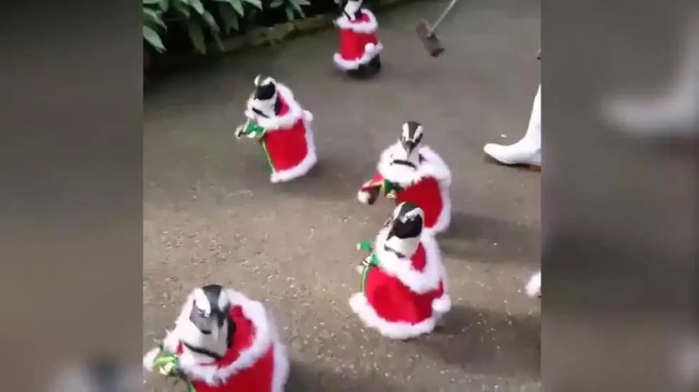 ¡Ho, ho, ho! Soy... ¿pingüino Noel?