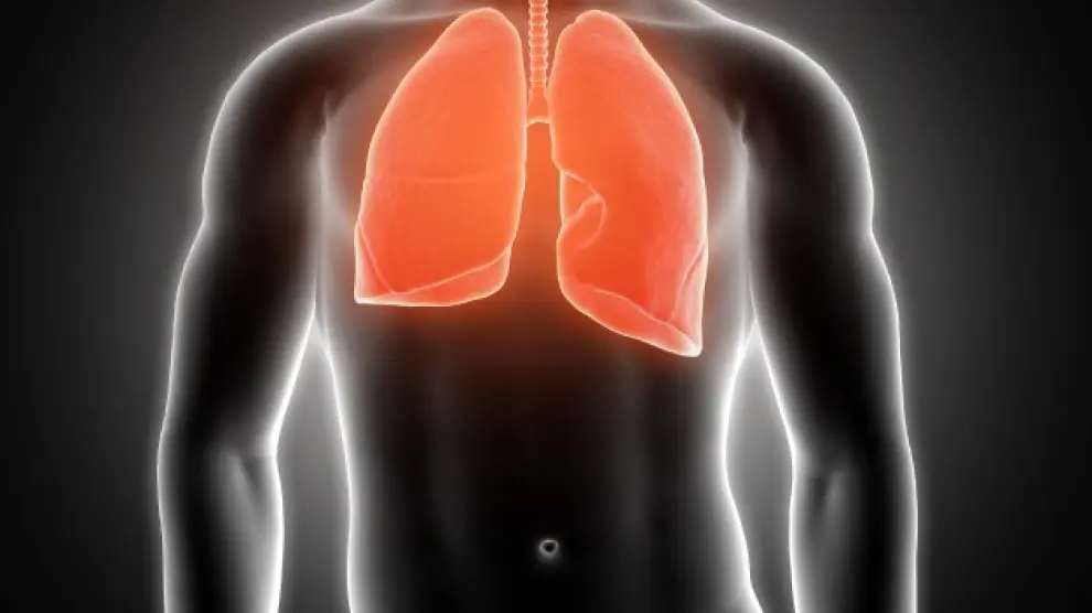 Uno de cada 10 adultos jóvenes tiene una función pulmonar baja fruto de un mal desarrollo de estos órganos.
