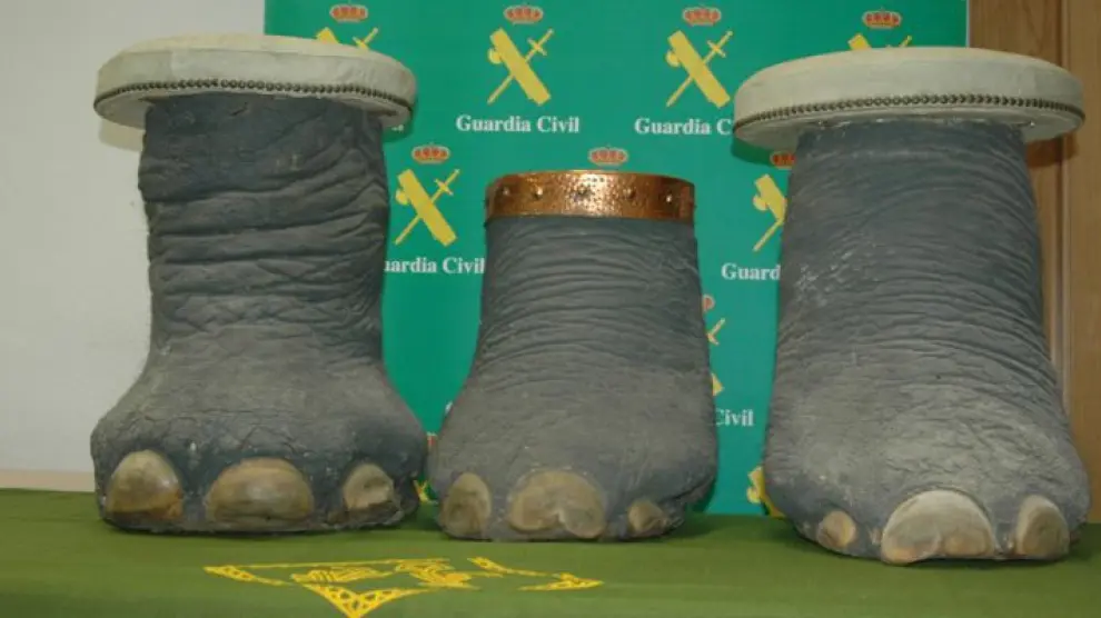 Patas de elefante convertidas en paragüero y taburetes que han sido intervenidas.