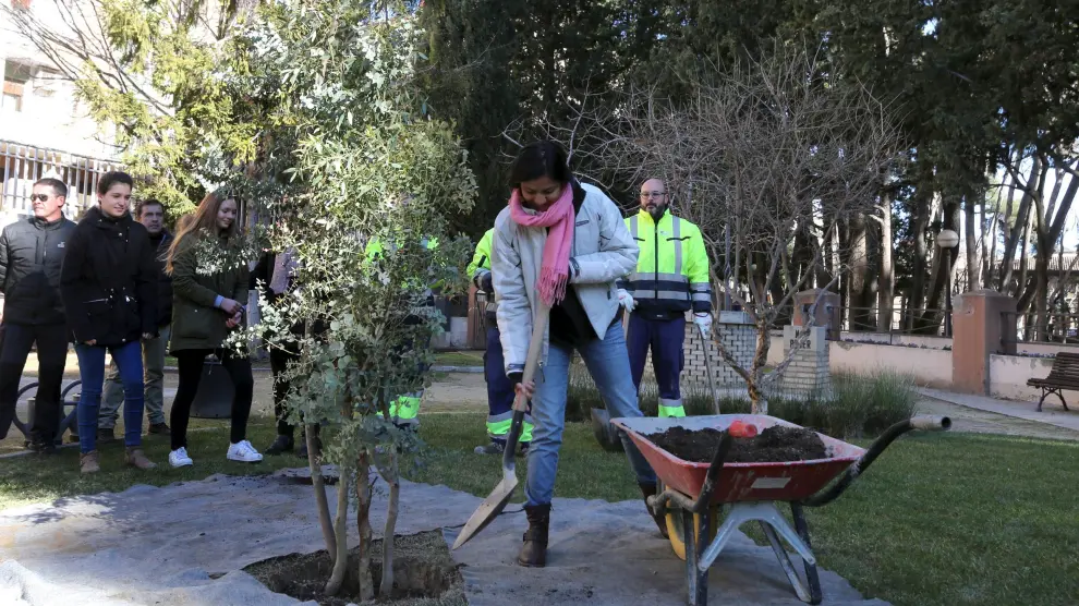 Laura Zúñiga ayuda a plantar un árbol en el parque Migue Servet, junto al aula que lleva el nombre de su madre.