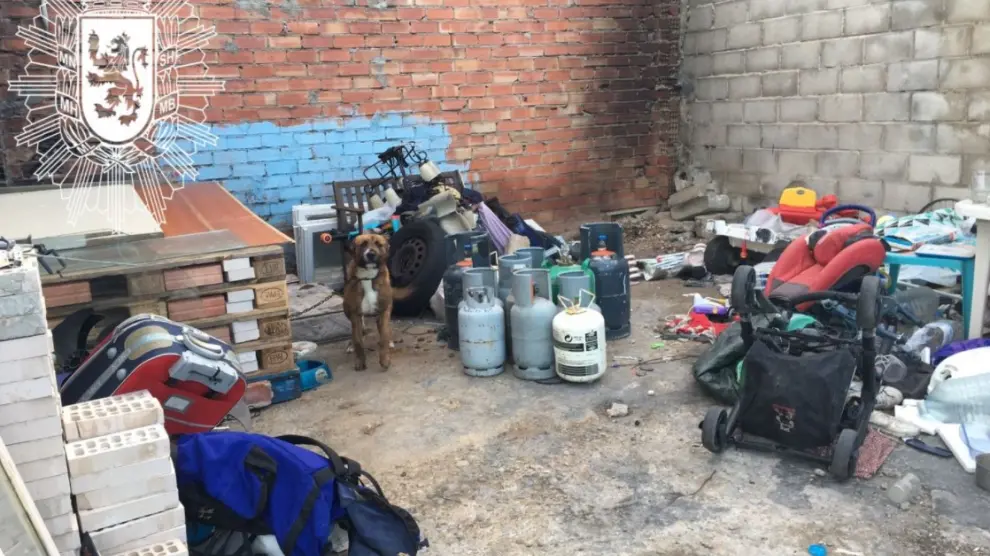 La Policía Local rescata a siete perros abandonados en un solar de Zaragoza.
