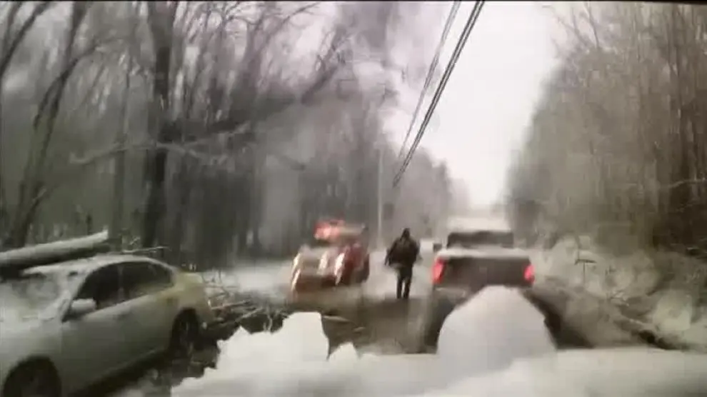 Ilesos de milagro unos bomberos tras precipitarse un árbol sobre su coche