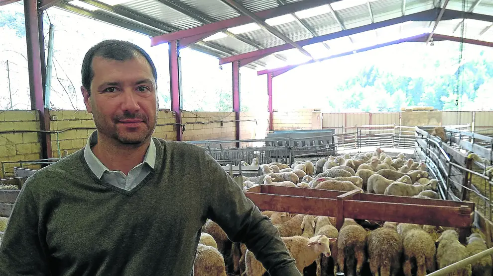 José Antonio Brun, en una instalación ganadera de ovino propio de Ansó.