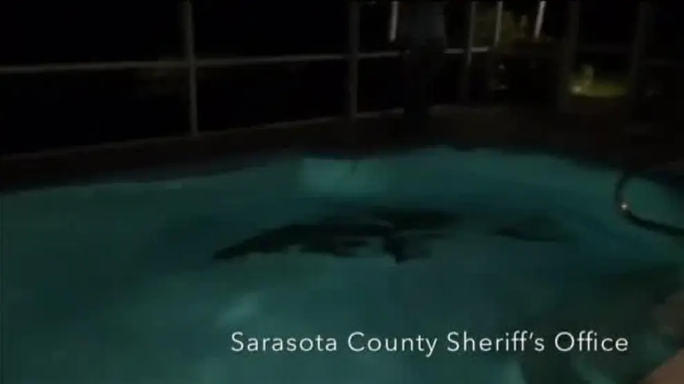 Un cocodrilo de más de tres metros se 'baña' en una piscina privada