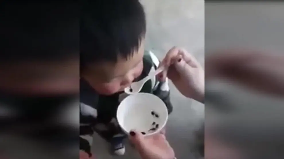 Una madre alimenta a su hijo con renacuajos vivos