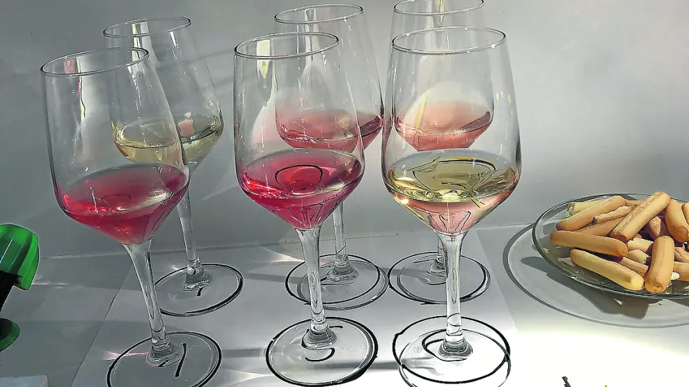 Muestra de algunos de los vinos elaborados con las variedades recuperadas.